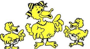 clucky duck logo